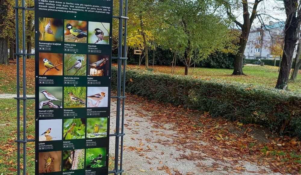 Informativne table o pticah v Magdalenskem parku
