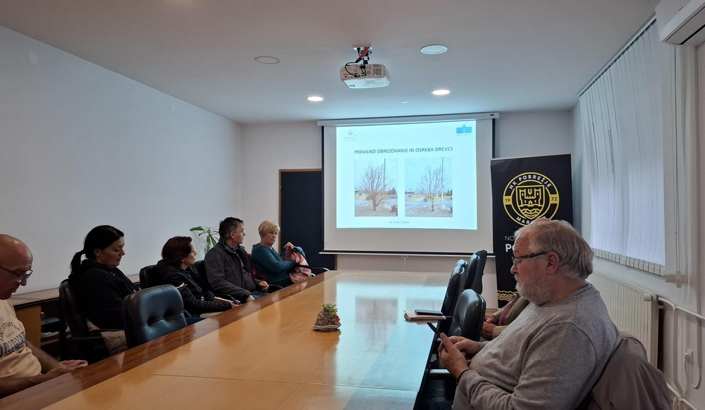 KDO TE TEBE ŠIŠA?! Delavnica vzdrževanja dreves