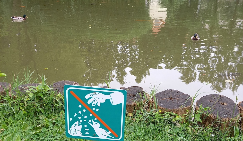Učne table o primernem hranjenju prostoživečih ptic